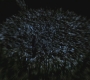 SPN_0050.jpg