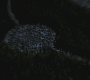 SPN_0051.jpg