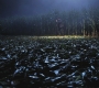 SPN_0251.jpg