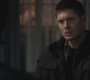 SPN_0441.jpg