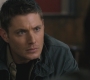 SPN_0527.jpg
