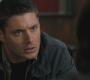 SPN_0532.jpg