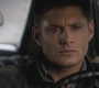 SPN_0843.jpg