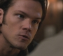 SPN_0928.jpg