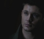 SPN_0233.jpg