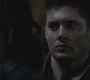 SPN_0245.jpg
