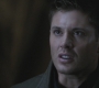 SPN_0288.jpg