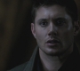 SPN_0297.jpg