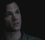 Filename=SPN_0299.jpg
Filesize=45KiB
Dimensions=1280x720
Date added=Sep 30, 2021 SPN_0299.jpg
