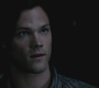 SPN_0302.jpg