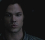 SPN_0303.jpg