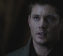 SPN_0311.jpg