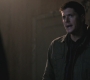 SPN_0341.jpg