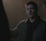 SPN_0343.jpg