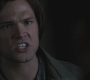 SPN_0350.jpg