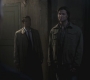 SPN_0403.jpg