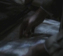 SPN_0415.jpg