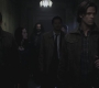 SPN_0786.jpg