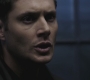 SPN_0803.jpg