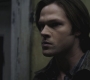 SPN_0804.jpg