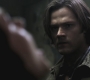 SPN_0826.jpg