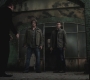 SPN_1164.jpg