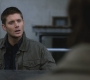 SPN_1382.jpg