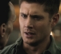 SPN_0283.jpg