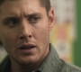SPN_0295.jpg