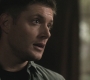 SPN_0319.jpg
