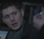SPN_1373.jpg
