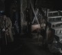 SPN_0049.jpg