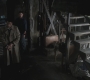 SPN_0050.jpg