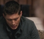 SPN_0716.jpg