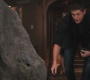 SPN_0909.jpg
