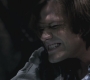 SPN_1031.jpg