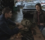 SPN_1087.jpg