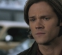 SPN_1095.jpg