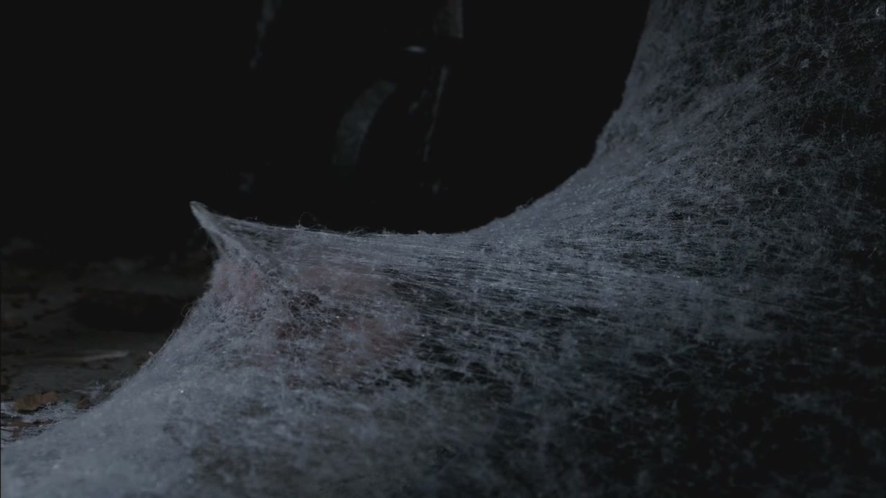 SPN_1114.jpg