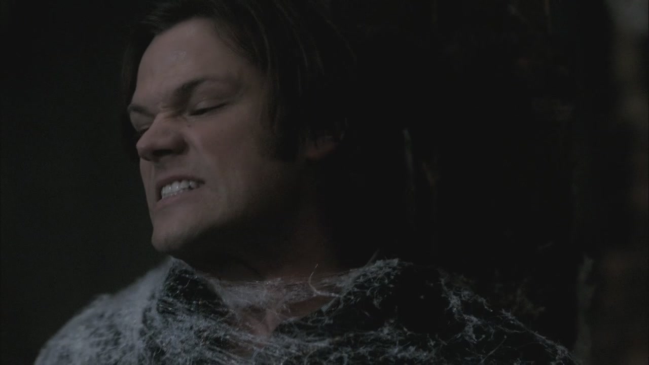 SPN_1160.jpg