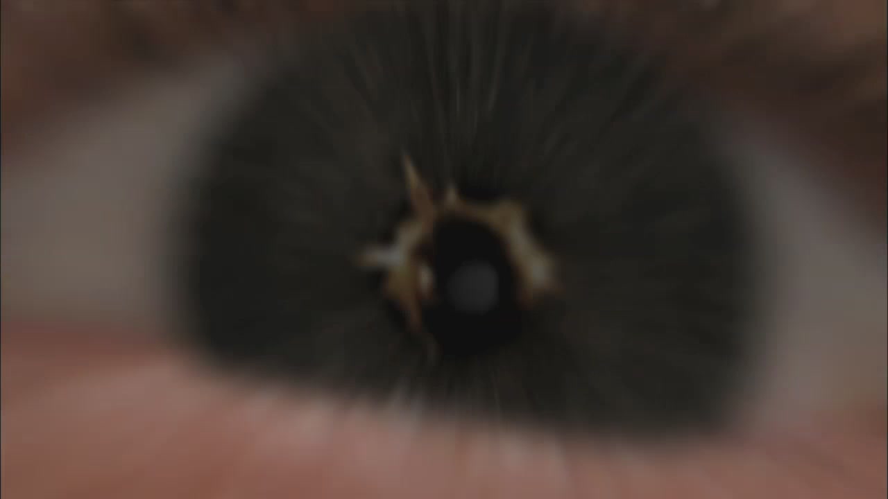 SPN_1224.jpg