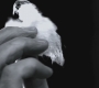 Filename=SPN_0675.jpg
Filesize=39KiB
Dimensions=1280x720
Date added=Sep 30, 2021 SPN_0675.jpg