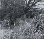 SPN_0842.jpg