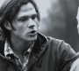 Filename=SPN_0871.jpg
Filesize=80KiB
Dimensions=1280x720
Date added=Sep 30, 2021 SPN_0871.jpg