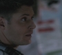 SPN_1009.jpg