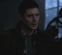 SPN_1043.jpg