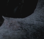 SPN_1114.jpg