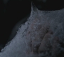 SPN_1120.jpg