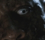 SPN_1126.jpg