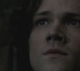 SPN_1133.jpg